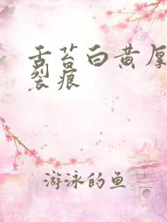 舌苔白黄厚腻有裂痕