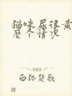 猫咪尿很黄是怎么个情况