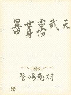 异世灵武天下陆中身份