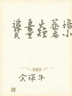 追妻火葬场的高质量短篇小说