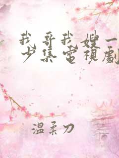 我哥我嫂一共多少集电视剧