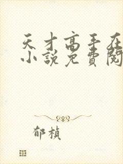 天才高手在都市小说免费阅读全文