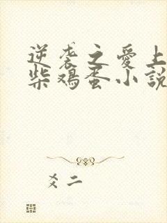 逆袭之爱上情敌柴鸡蛋小说