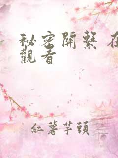 秘密关系 在线观看