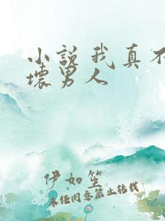 小说 我真不是坏男人