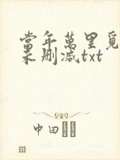 当年万里觅封侯未删减txt