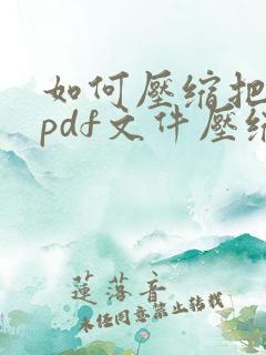 如何压缩把大的pdf文件压缩小