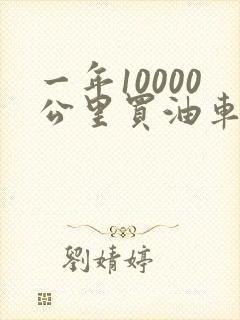 一年10000公里买油车还是电车