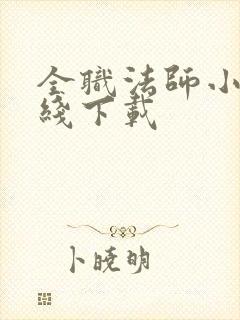 全职法师小说在线下载