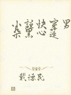 小说快穿男神是朵黑心莲