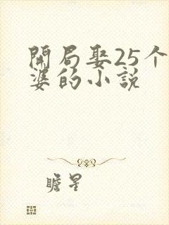 开局娶25个老婆的小说