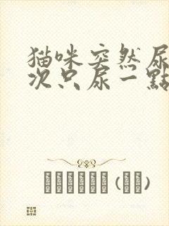 猫咪突然尿频每次只尿一点怎么治疗