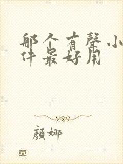 那个有声小说软件最好用