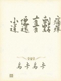 小便有刺痛感阴道还有点痒是怎么回事