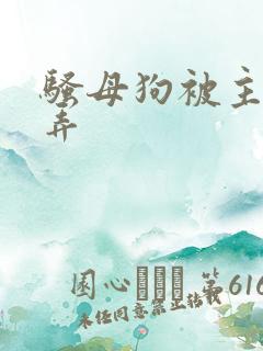 骚母狗被主人玩弄