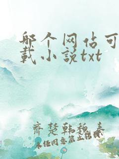 哪个网站可以下载小说txt