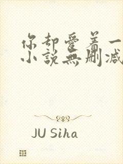 你却爱着一个他小说无删减版