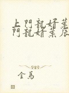 上门龙婿叶辰上门龙婿叶辰