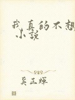 我真的不想穿越 小说