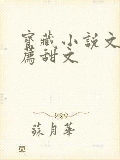 宝藏小说文荒推荐甜文