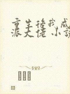 重生后我成了反派大佬 小说