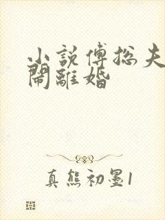 小说傅总夫人又闹离婚