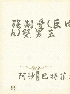 强制爱(巨肉高h)双男主