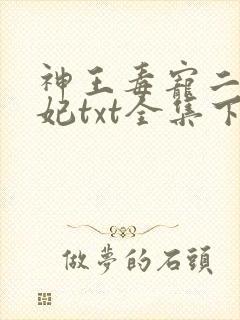 神王毒宠二嫁王妃txt全集下载