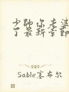 少帅你老婆又跑了最新章节新