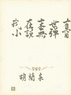 我在末世有套房小说无弹窗