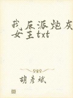 我反派炮灰专撩女主txt