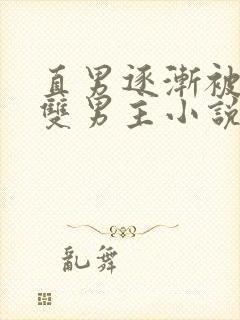 直男逐渐被掰弯双男主小说