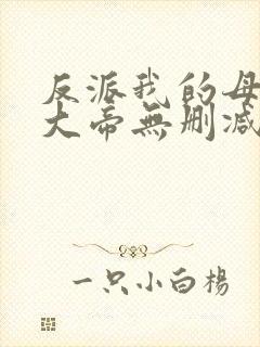 反派我的母亲是大帝无删减小说