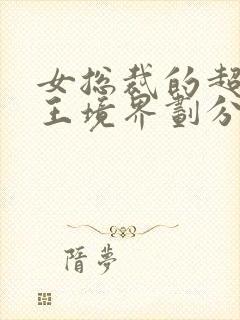 女总裁的超级兵王境界划分