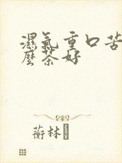 湿气重口苦喝什么茶好