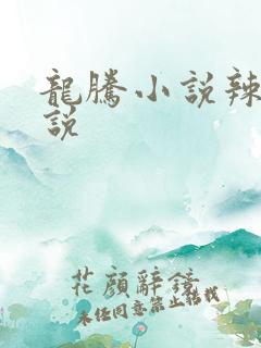 龙腾小说辣文小说