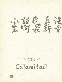 小说我真没想重生啊最新章节