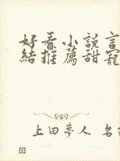 好看小说言情完结推荐甜宠文