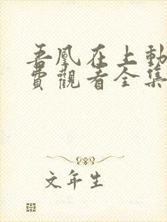 吾凰在上动漫免费观看全集完整版