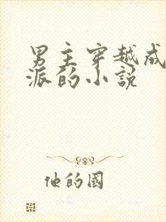 男主穿越成为反派的小说