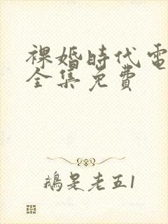 裸婚时代电视剧全集免费