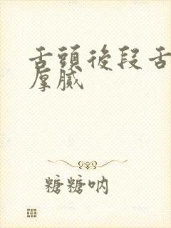 舌头后段舌苔白厚腻