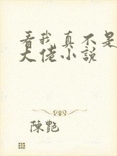 看我真不是女装大佬小说