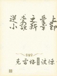 逆袭之爱上情敌小说新章节列表