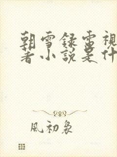 朝雪录电视剧原著小说是什么