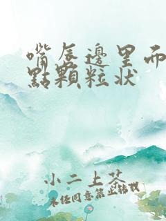 嘴唇边里面有白点颗粒状