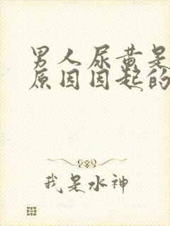 男人尿黄是什么原因因起的