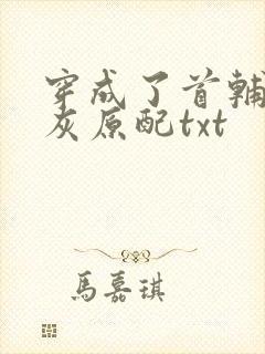 穿成了首辅的炮灰原配txt