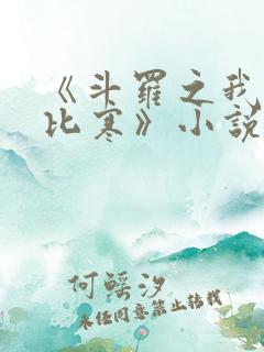 《斗罗之我叫比比寒》小说免费阅读