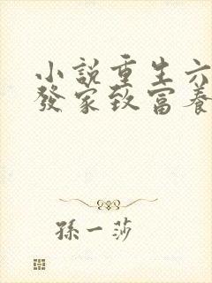 小说重生六零:发家致富养崽崽